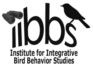 iibbs logo